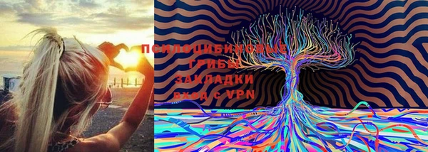 соль курить ск Гусев